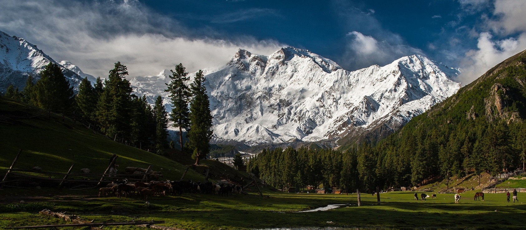 Nanga Parbat & Rakaposhi Base Camp Adventure